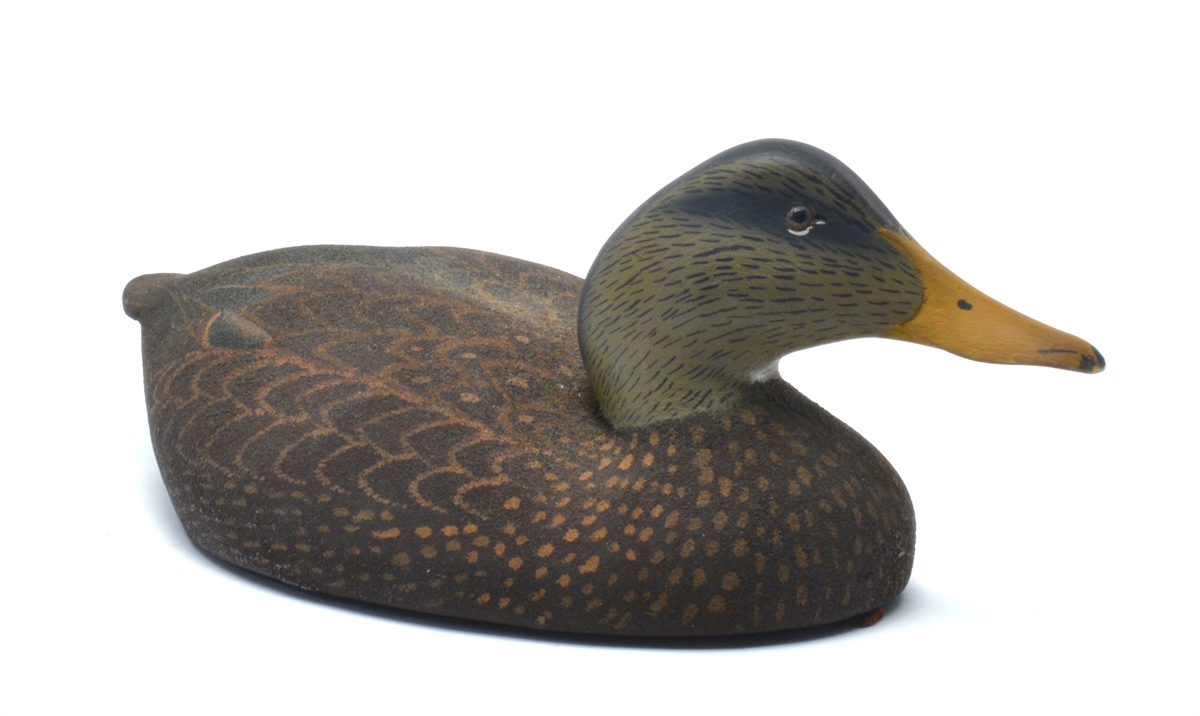 www.decoysforsale.com - Hollow carved black duck, William Cranmer ...
