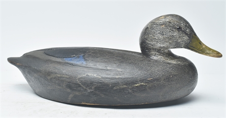Hollow carved black duck, Ken Anger, Dunnville, Ontario