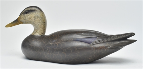 Decorative black duck, John B Garton, Smiths Falls, Ontario